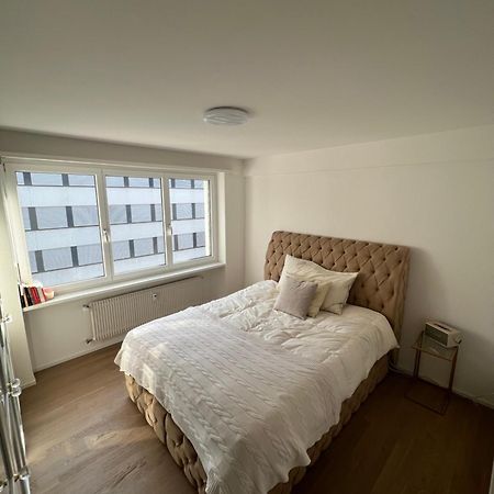 Best Located & Fully Equipped Apartment At Basel Sbb Main Station Eksteriør billede