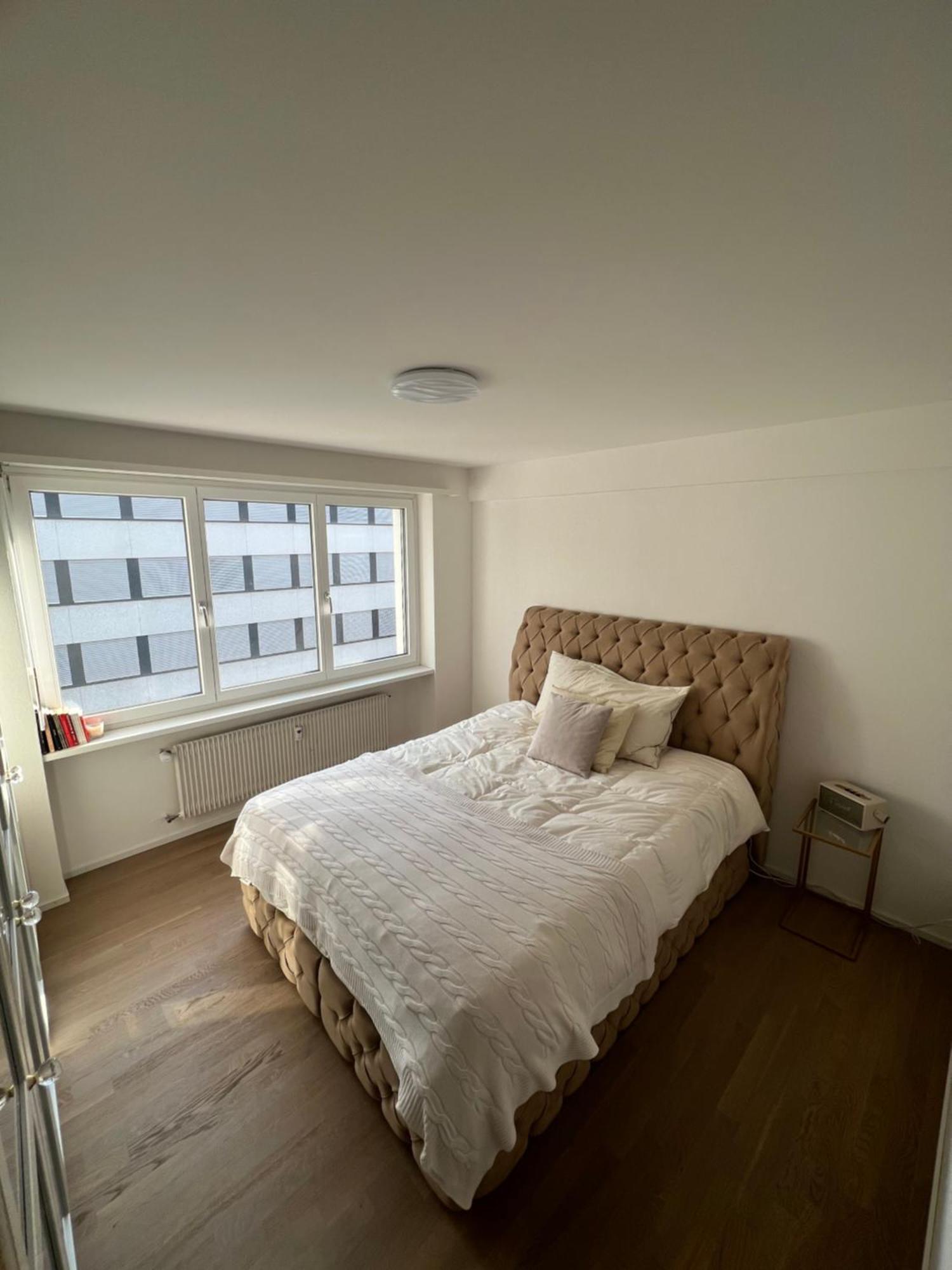 Best Located & Fully Equipped Apartment At Basel Sbb Main Station Eksteriør billede